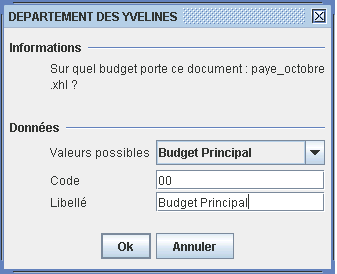 Saisie budget